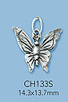 Sterling Silver Charms