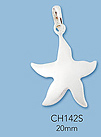 Sterling Silver Charms