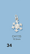 Sterling Silver Charms