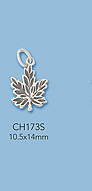 Sterling Silver Charms