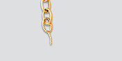 gold diamond clasps