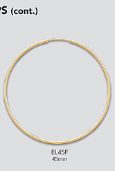 Gold Filled Hoops