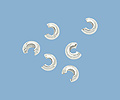 CGM Findings Monthly Specials