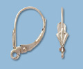 CGM Findings Monthly Specials